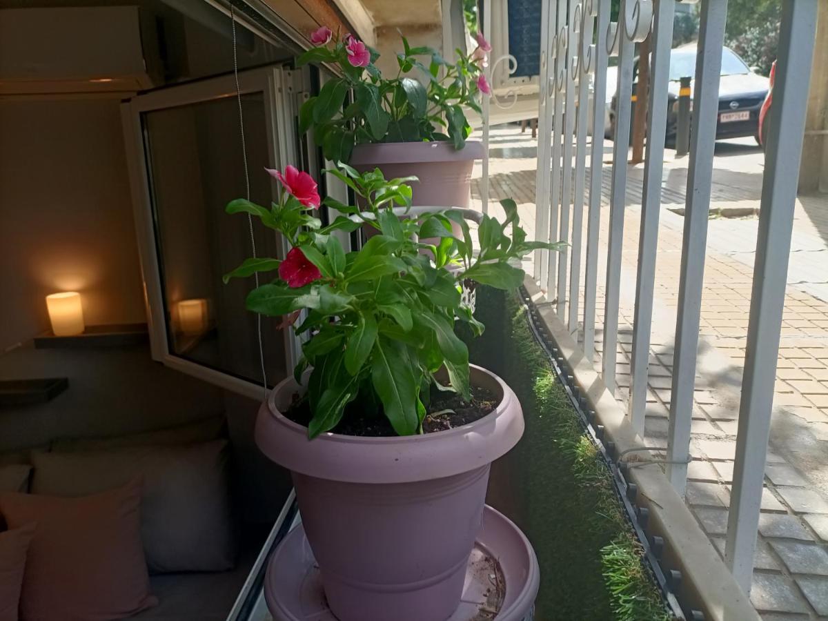 אתונה Kallimarmaro Refuge מראה חיצוני תמונה